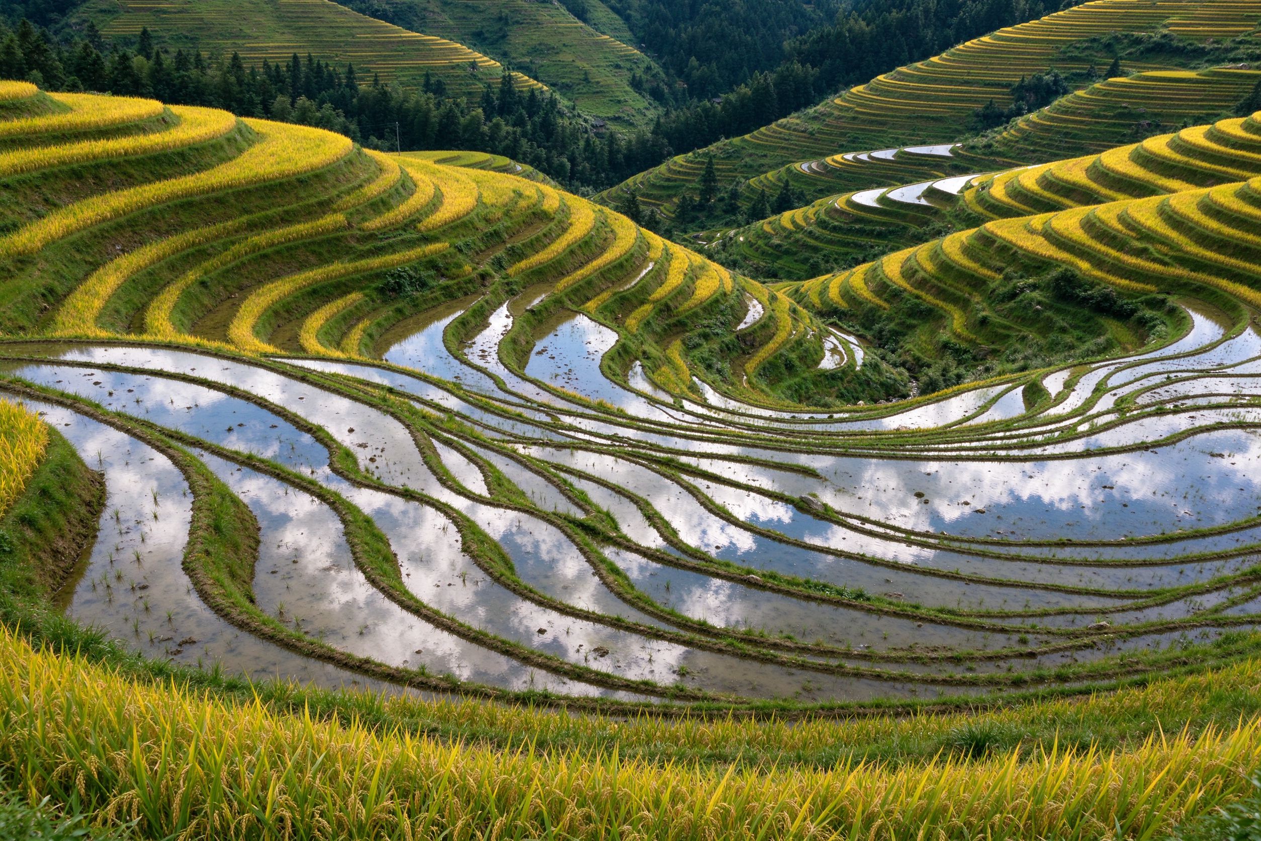 Jiabang Rice Terraces